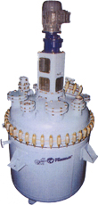 Manufacturers Exporters and Wholesale Suppliers of S S Reactor Ankleshwer Gujarat